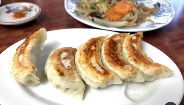 白龍 -  餃子 - 野田市