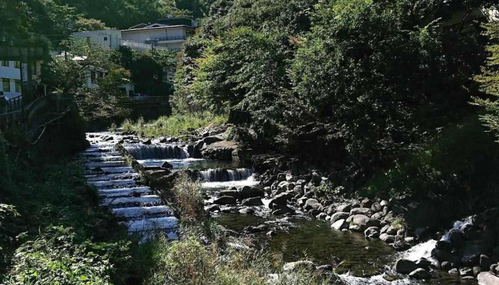 箱根かれー心 -  ホテル河鹿荘 - 箱根町