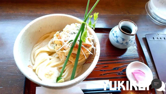 自家製うどん ごころ -  うどん - 倶知安町