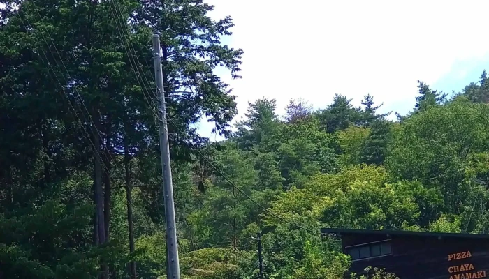 茶屋雨巻 -  料金 - 益子町