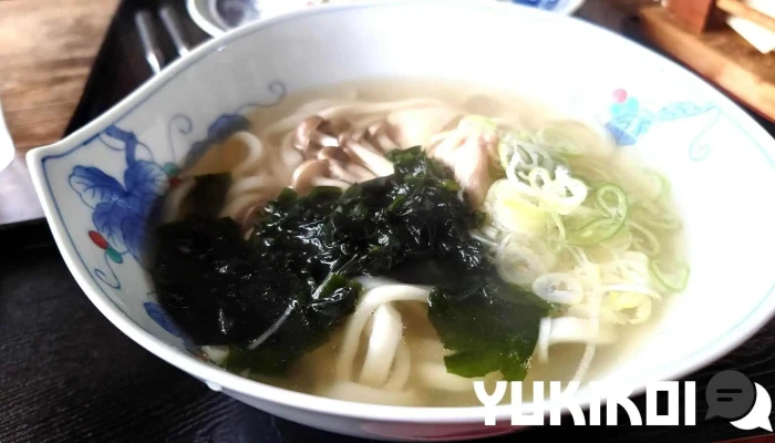 茶房 ヌプリ -  うどん - ニセコ町