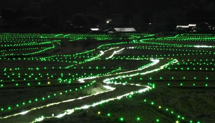 荘園ほたる -  コメント - 豊後高田市