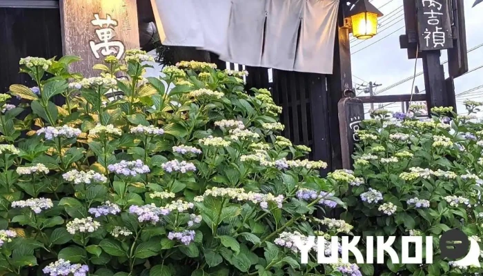 萬吉禎 Mankichitei -  オーナー提供 - 北本市