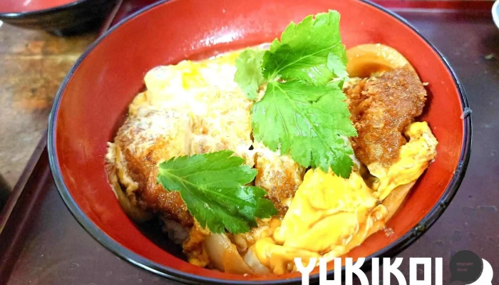 蕎麦 碧水庵 -  カツ丼 - 下松市