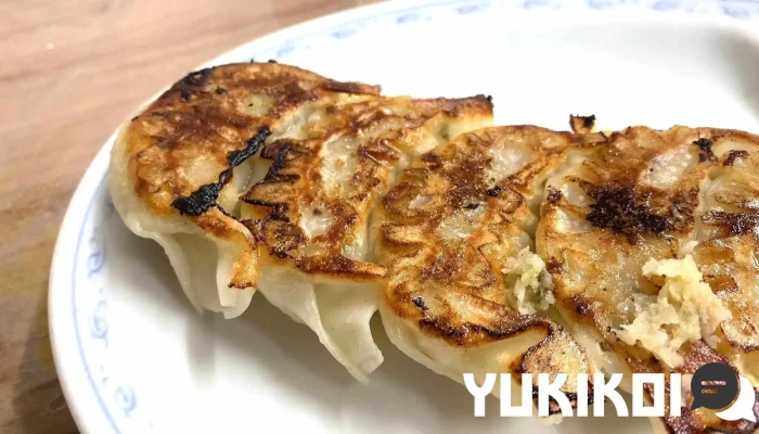 辛麺屋ひとよし -  餃子 - 人吉市