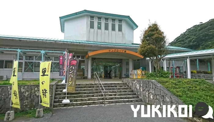 道の駅レストランマングローブ -  道の駅 奄美大島住用 - 奄美市