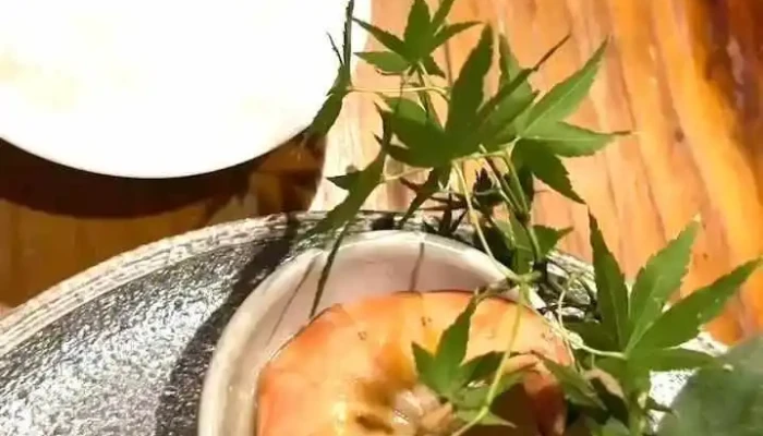 隠れ家和食 ちゃり蔵 -  動画 - 半田市