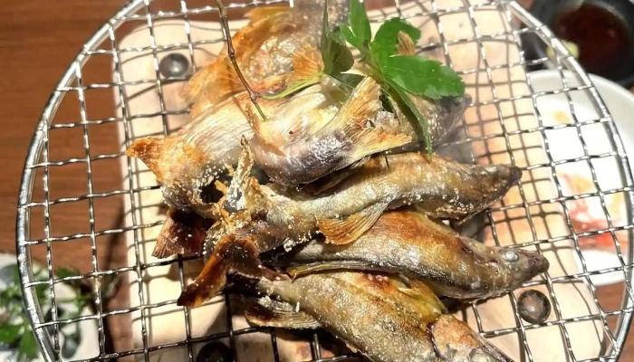 食楽 かぶ菜 -  シーフード - 金沢市