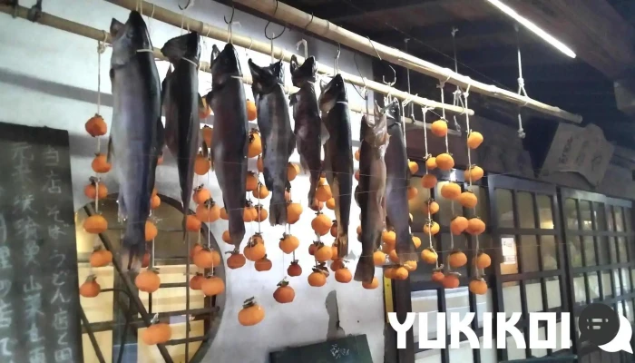 魚籠屋 -  最新 - 高崎市