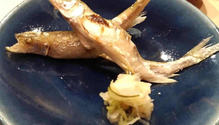鮨楽さかえや -  料金 - 寝屋川市