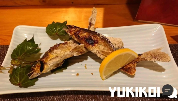鯖乃家 -  料理飲み物 - 人吉市