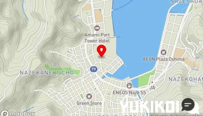 の地図 鶏飯 郷土料理 愛かな 郷土料理店 で 奄美市