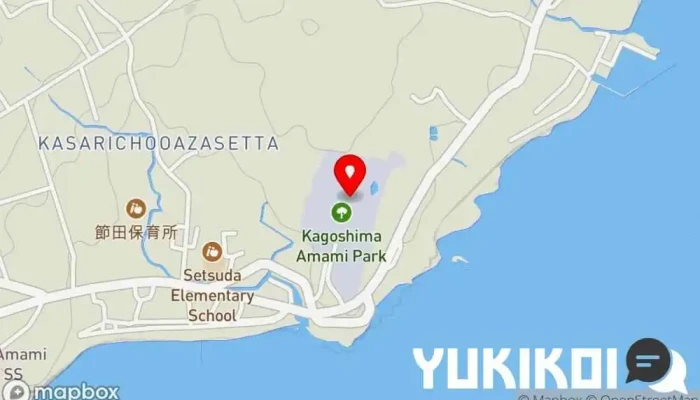 の地図 ＩＳＳＯＮ(奄美パーク内レストラン) レストラン で 奄美市